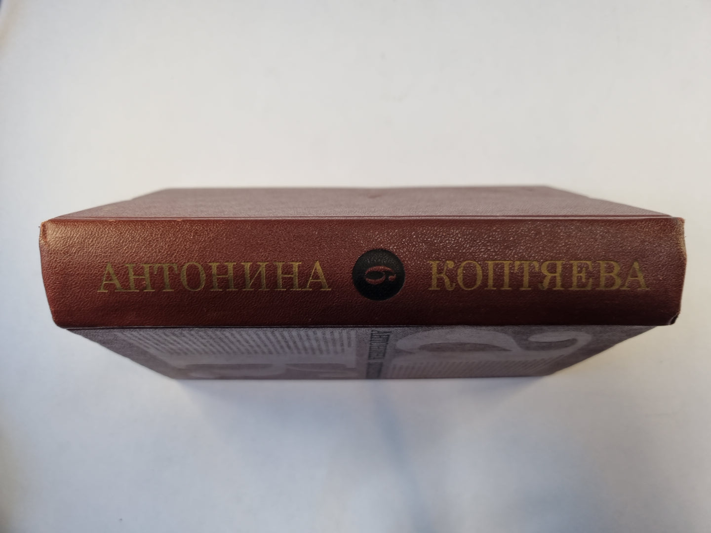 Собрание сочинений в шести томах. Том 6