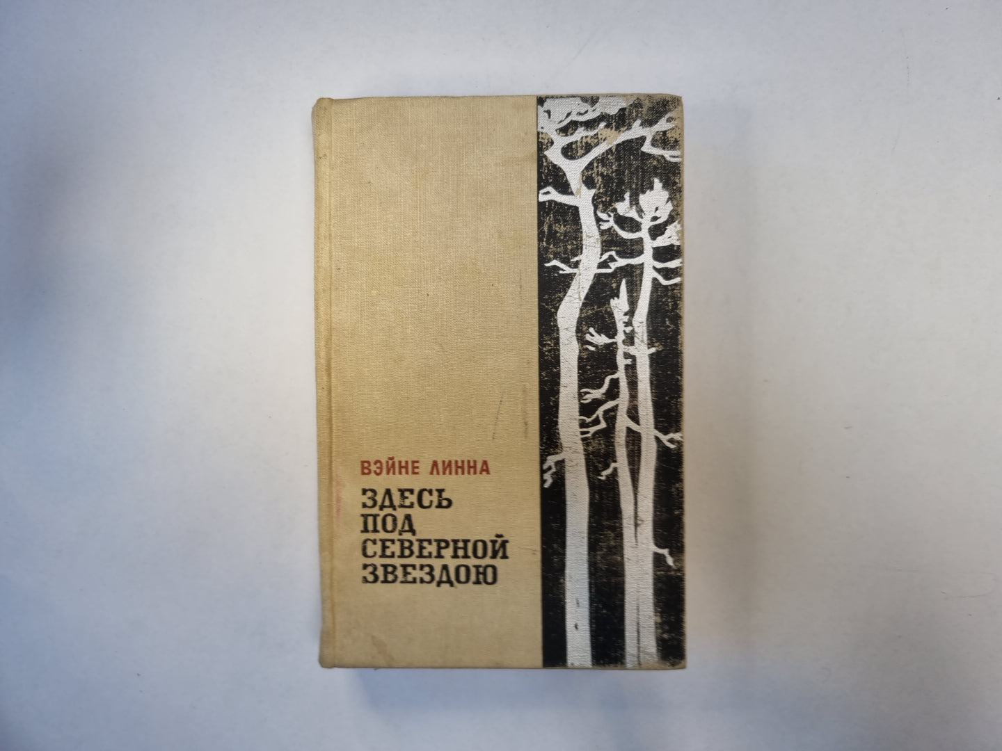 Здесь под северной звездой