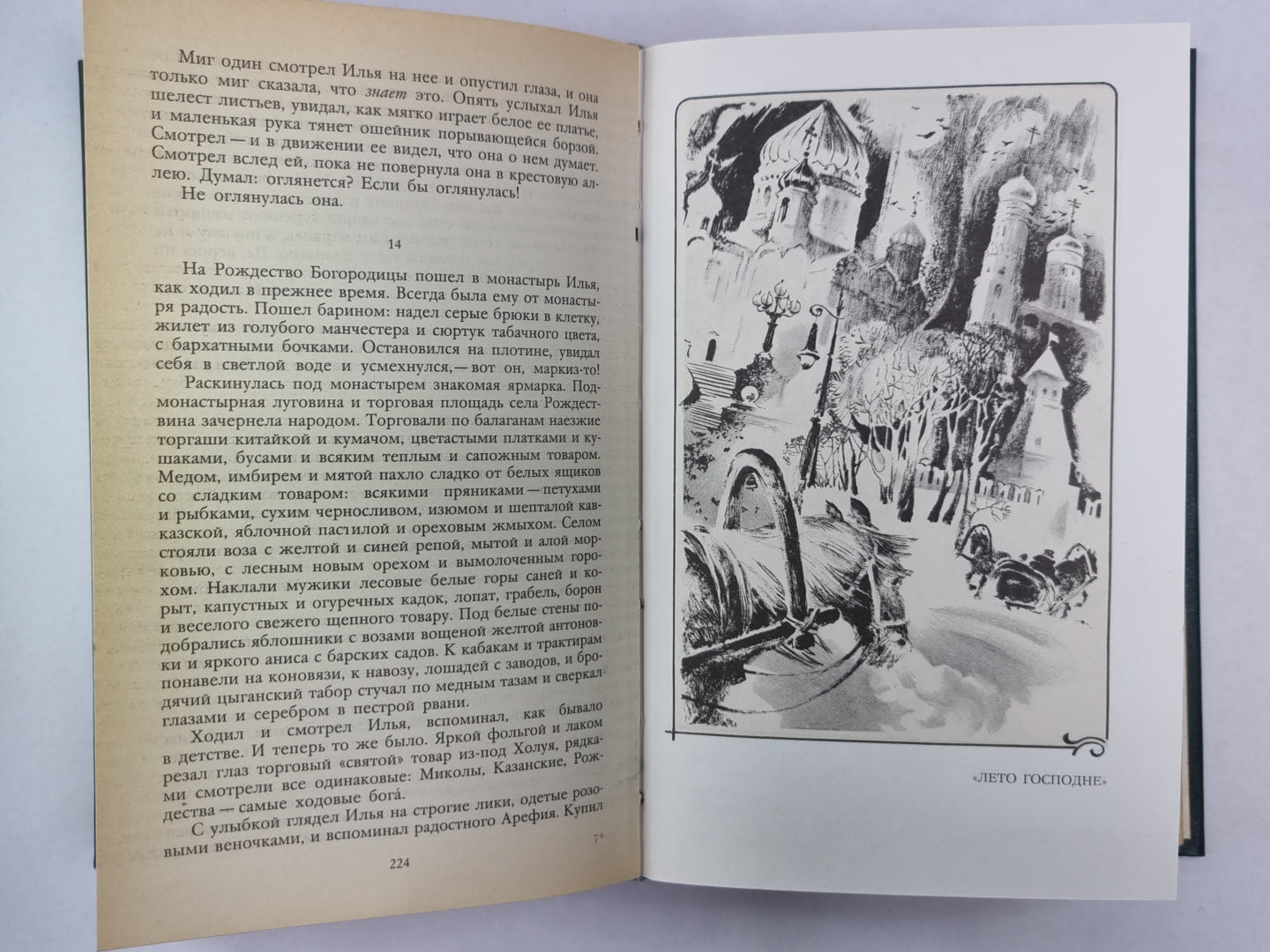 Избранное И.С.Шмелев