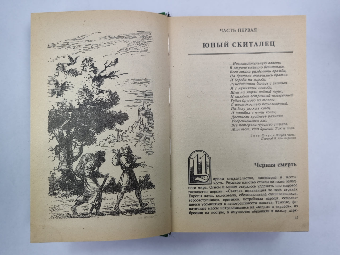 Черный корсар. Братья витальеры. Пираты Мексиканского залива
