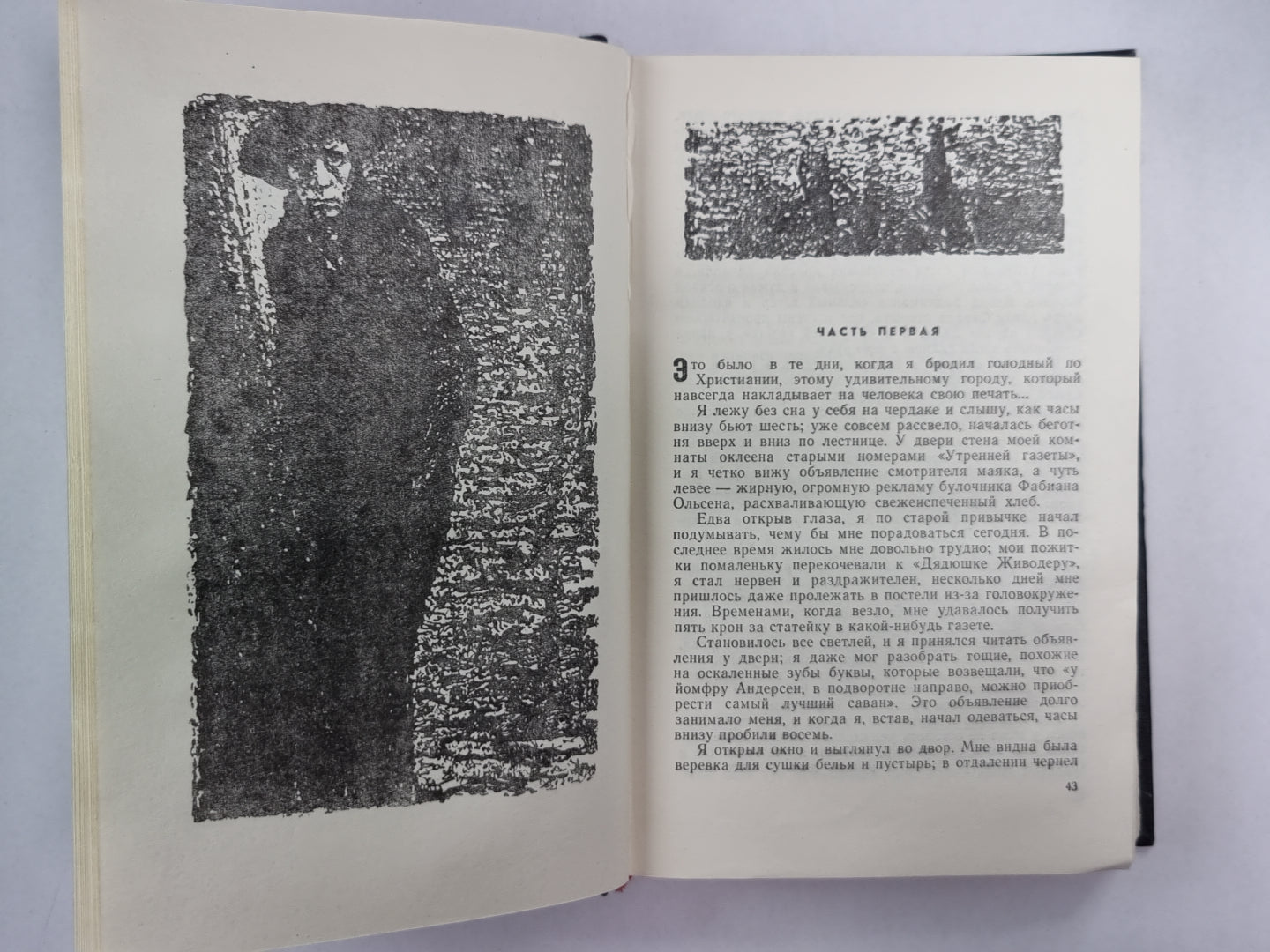 Голод. Мистерии. Избранные произведения К.Гамсун. Том 1