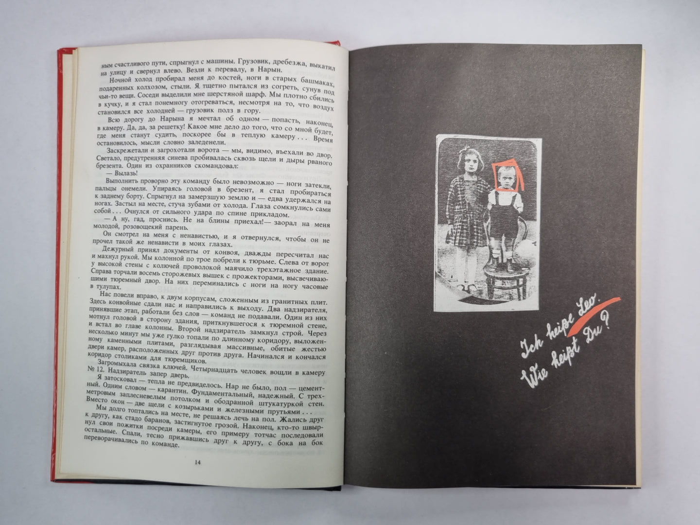 Чужой спектакль. Книга воспоминаний