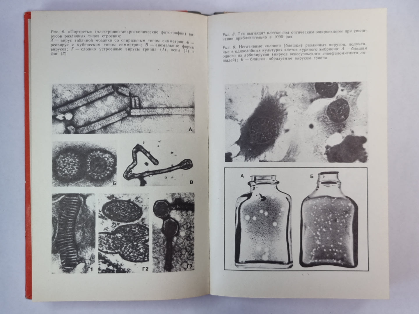 Тайны третьего царства