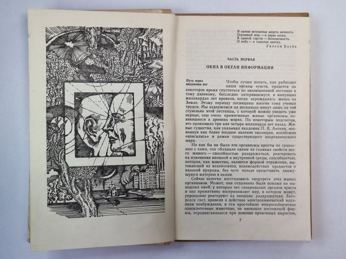 Мир наших чувств