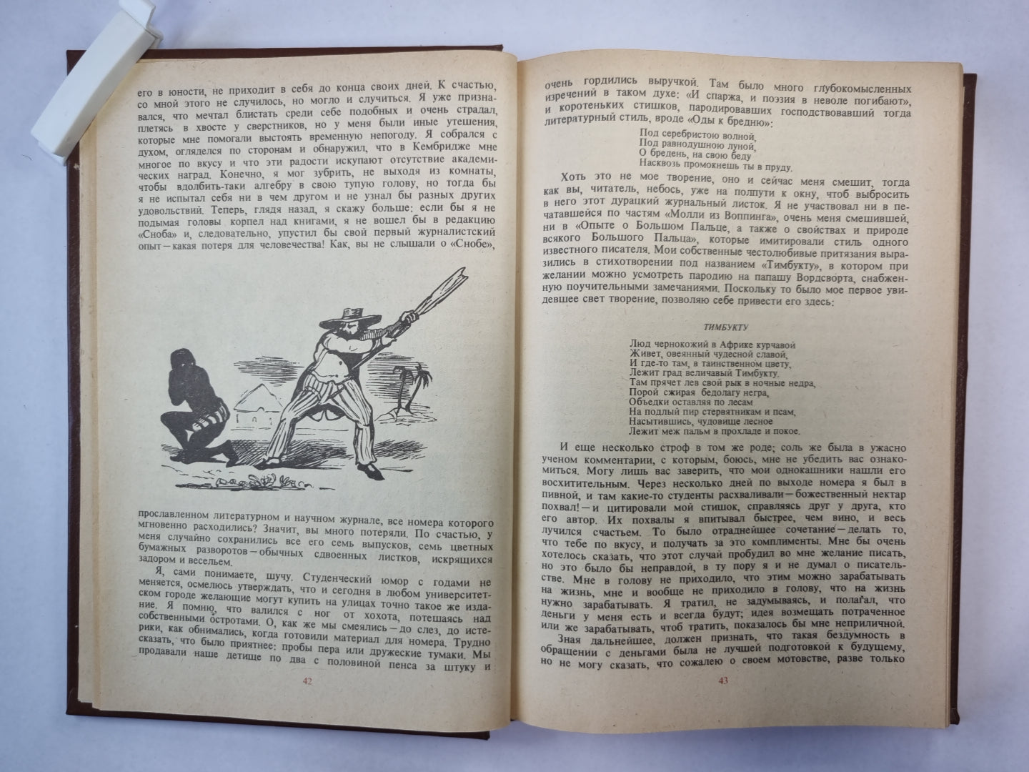 Записки викторианского джентльмена