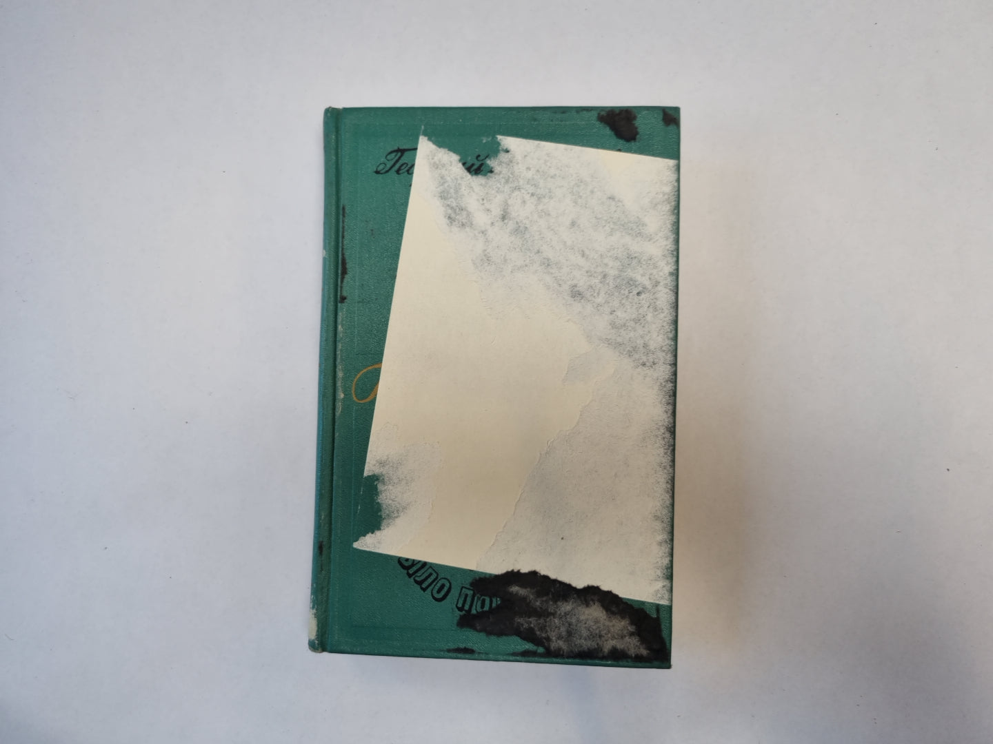 Конец осиного гнезда. Это было под Ровно