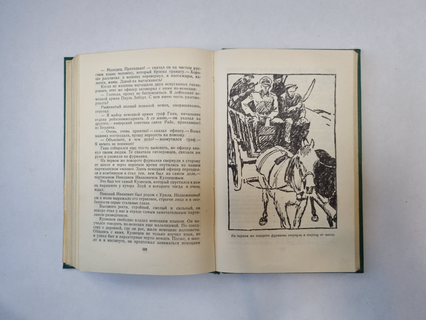 Конец осиного гнезда. Это было под Ровно