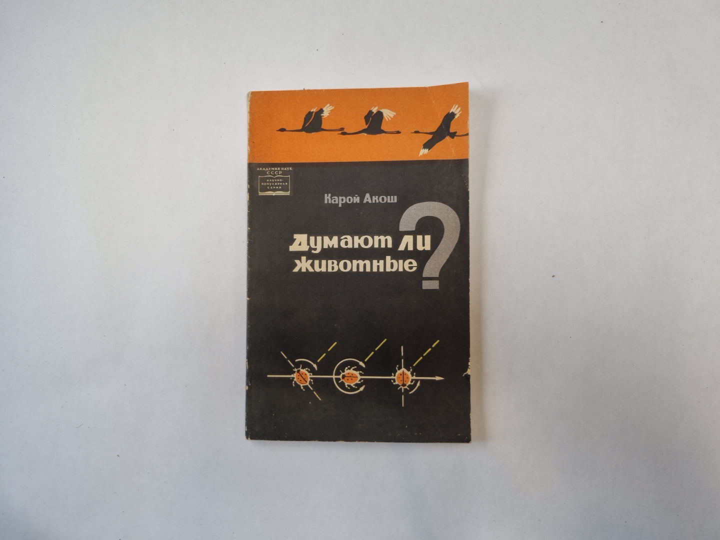 Думаете ли животные?