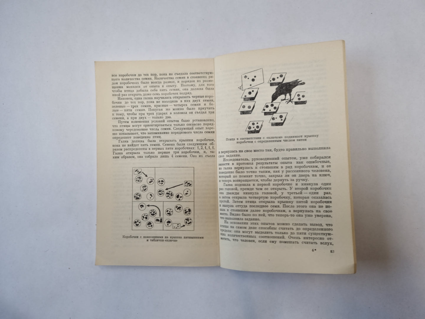 Думаете ли животные?