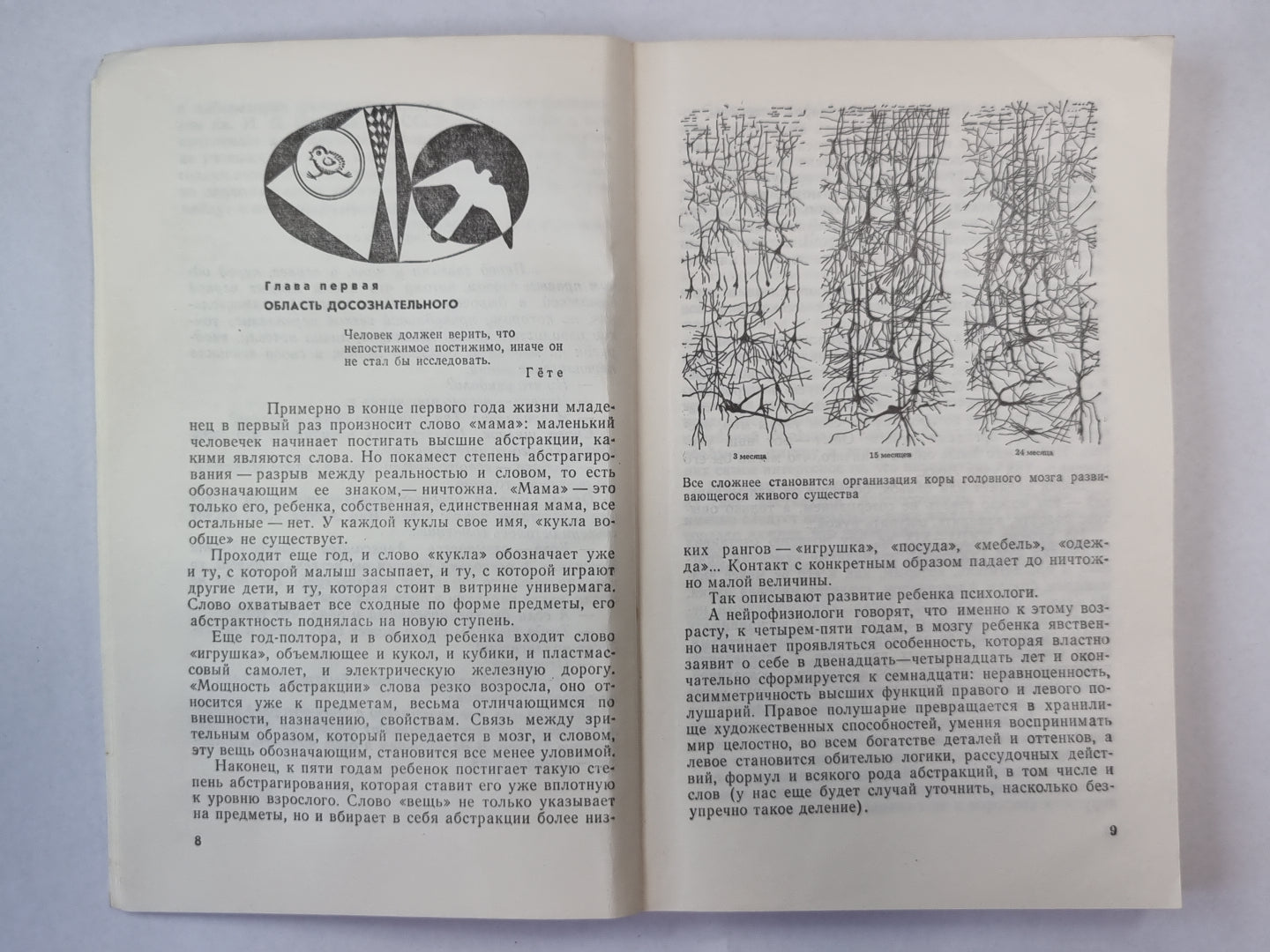 Как мы видим то, что видим