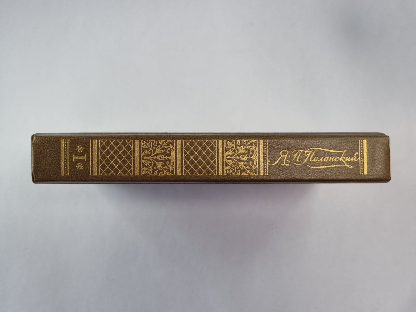 Стихотворения и поэмы. Я.П.Полонский. Сочинения. Том 1