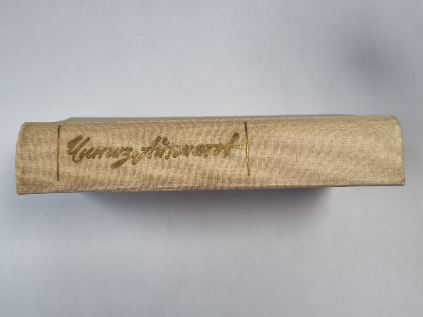 Плаха. И дольше века длится день