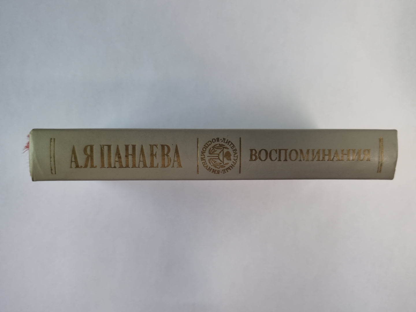 А.Я.Панаева. Воспоминания