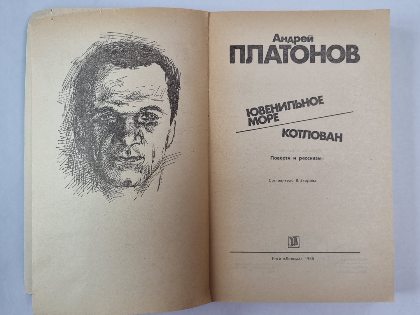 Plus encore. Kotlovan. Повести и рассказы