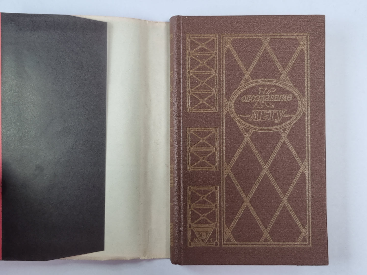 Опоздавшие к лету