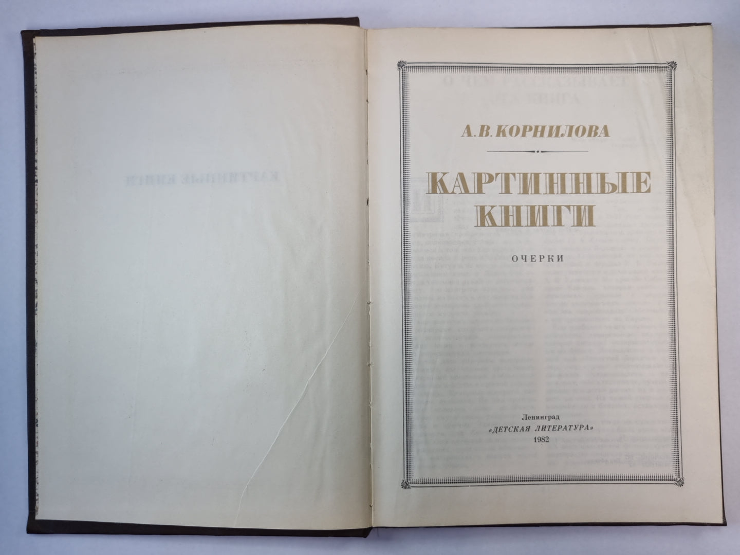 Картинные книги. Очерки