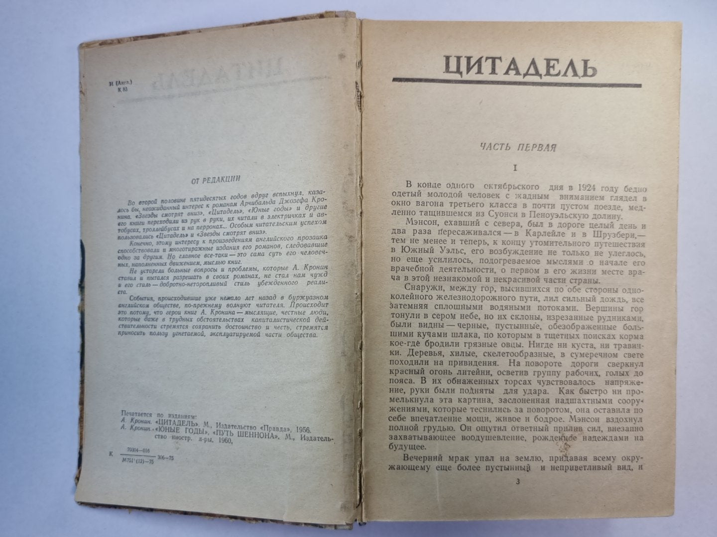 Цитадель. Юные годы. Путь Шеннона