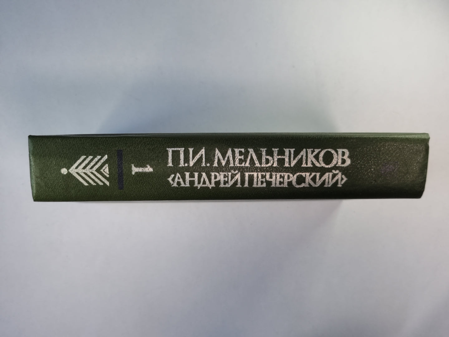 В лесах. Книга 1