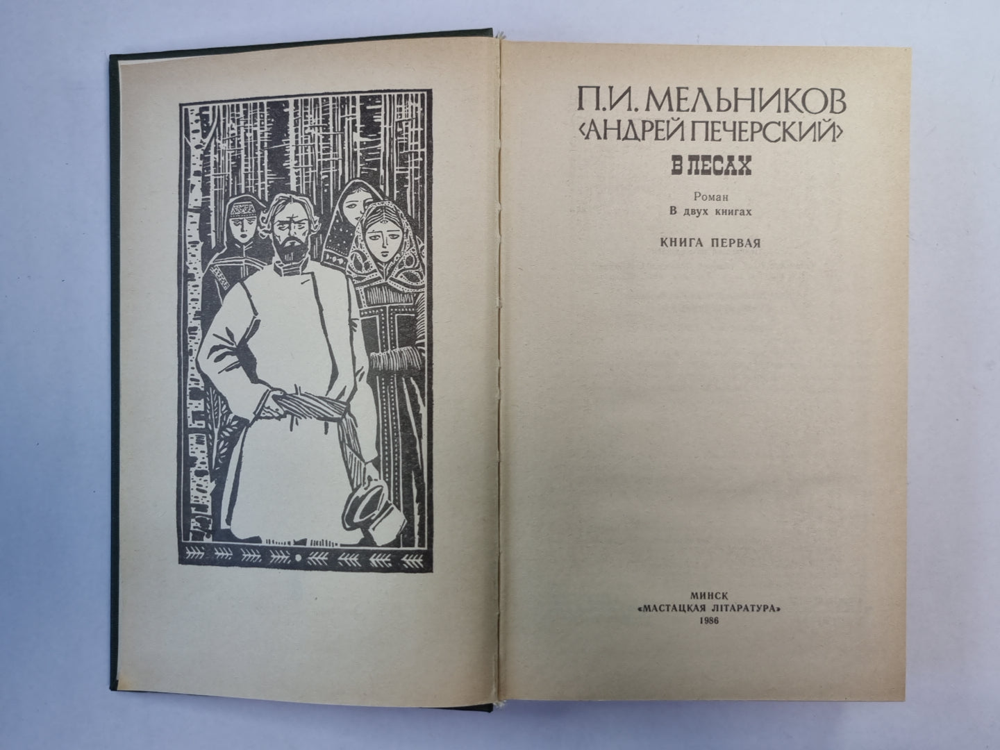 В лесах. Книга 1