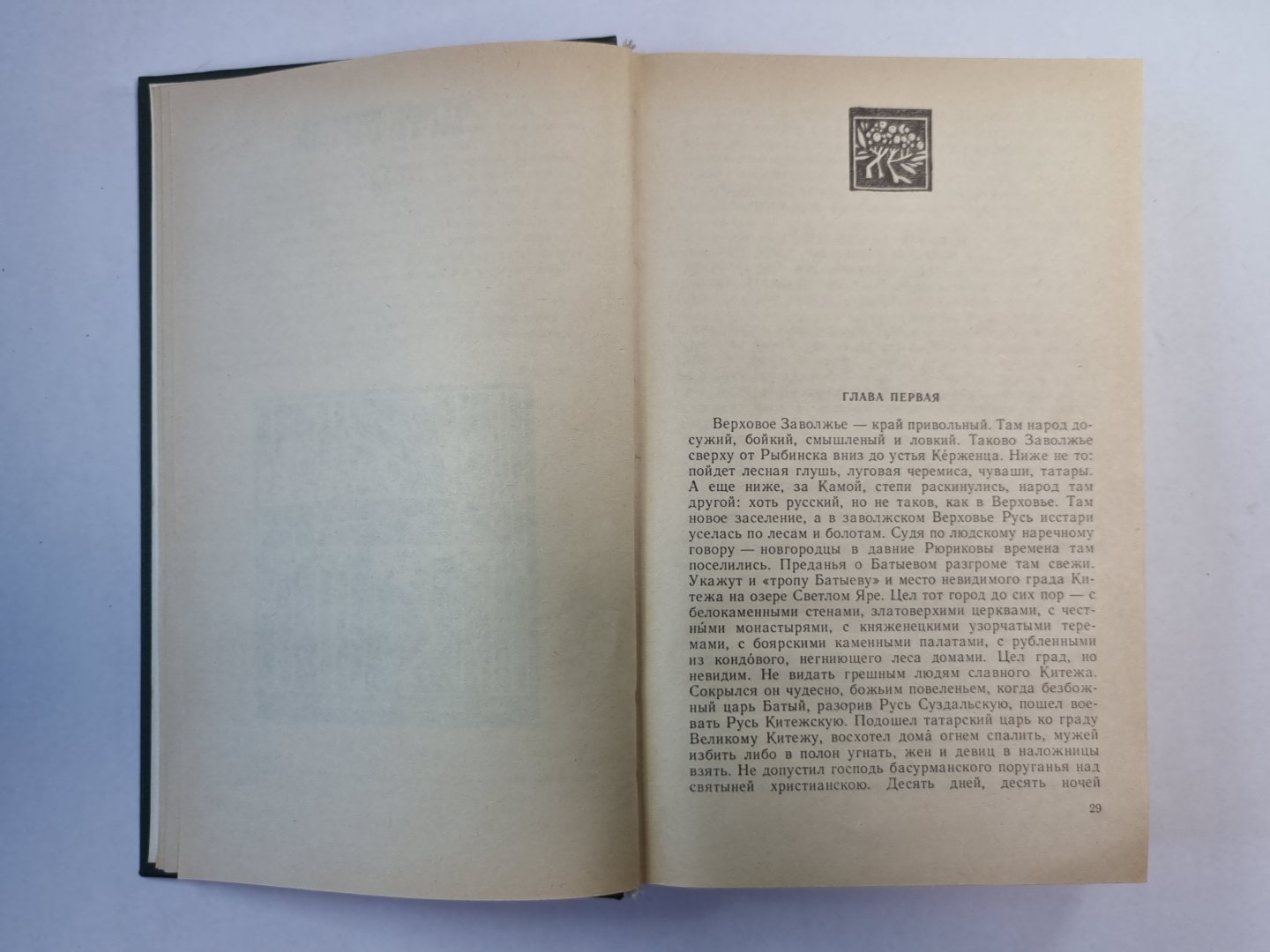 В лесах. Книга 1