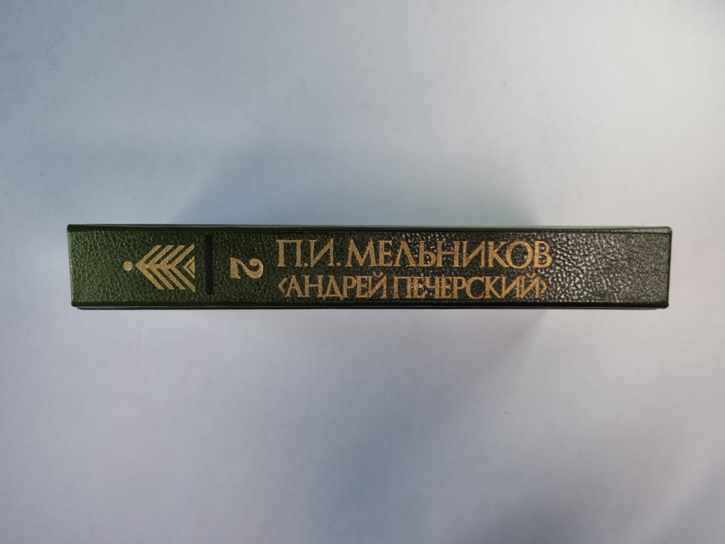 В лесах. Книга 2