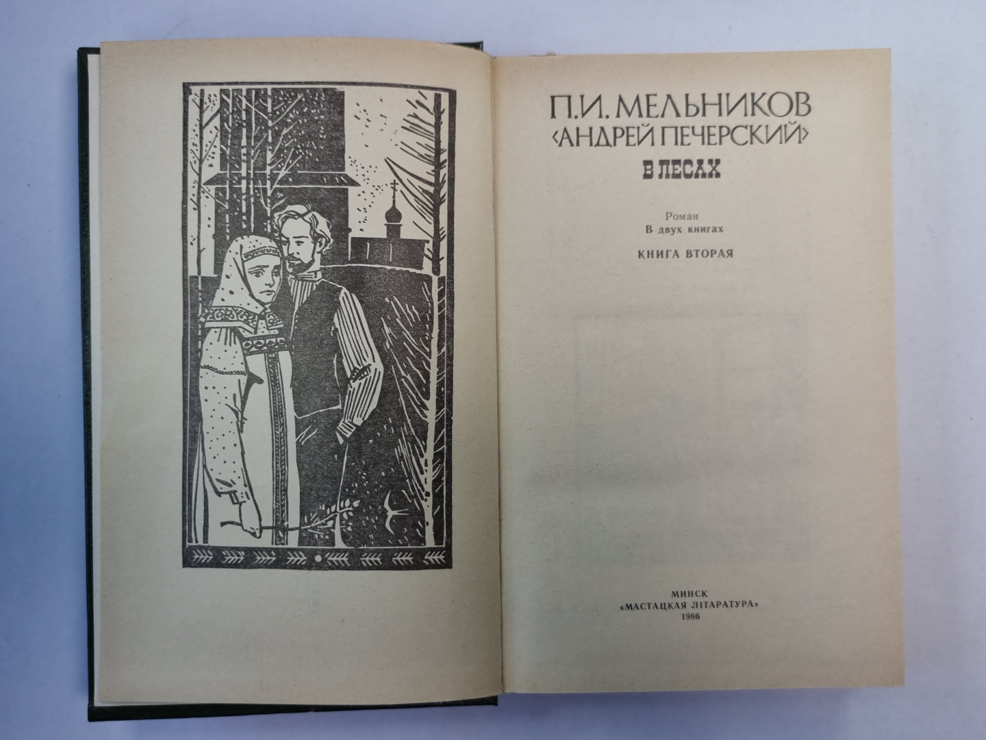 В лесах. Книга 2