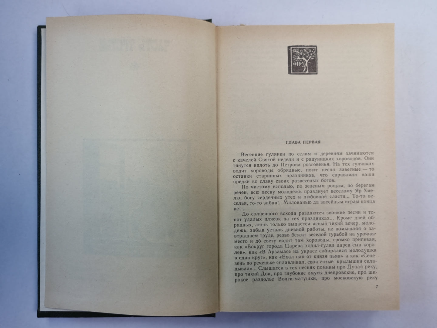 В лесах. Книга 2