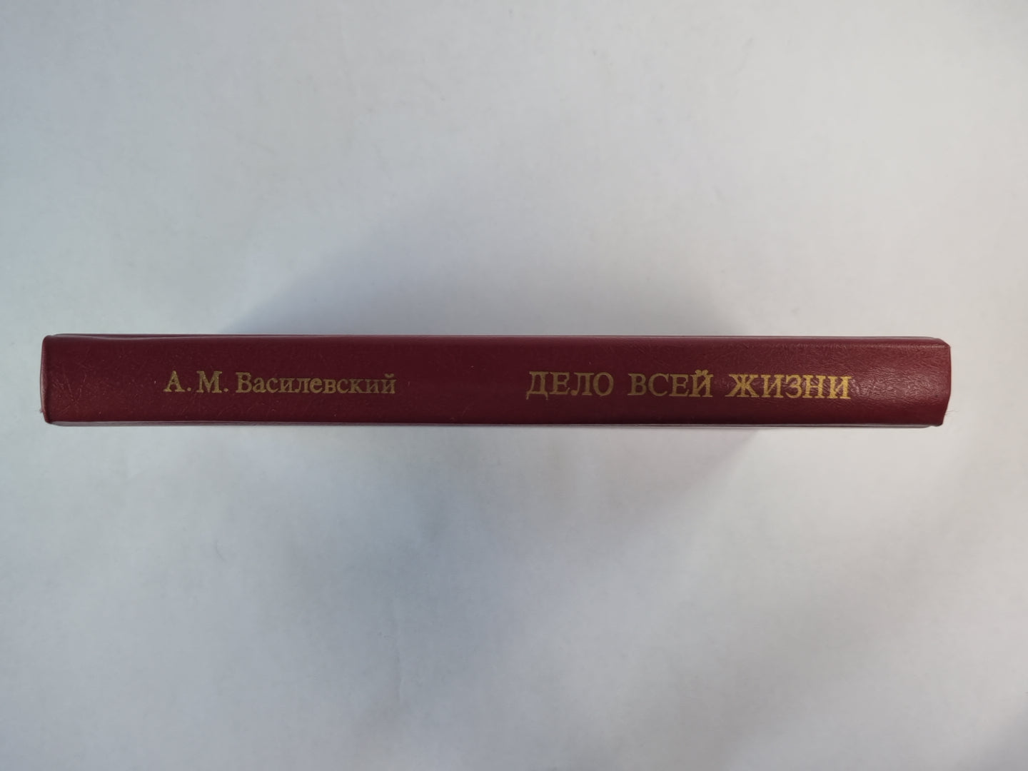 Дело всей жизни. Книга 1