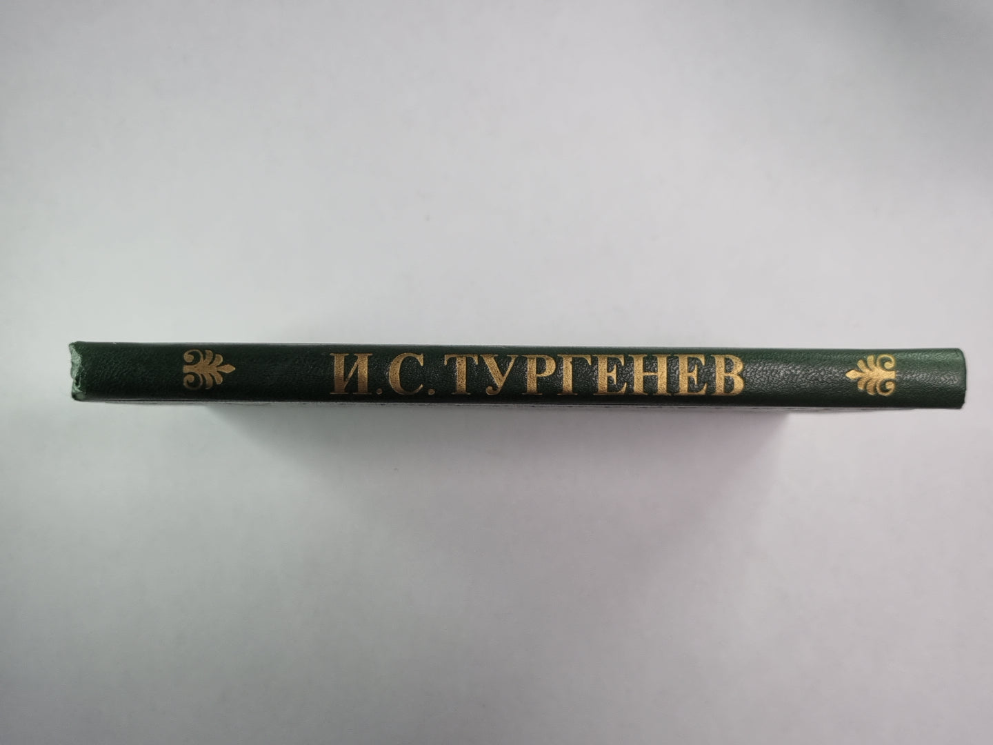 Рудин. Дворянское гнездо