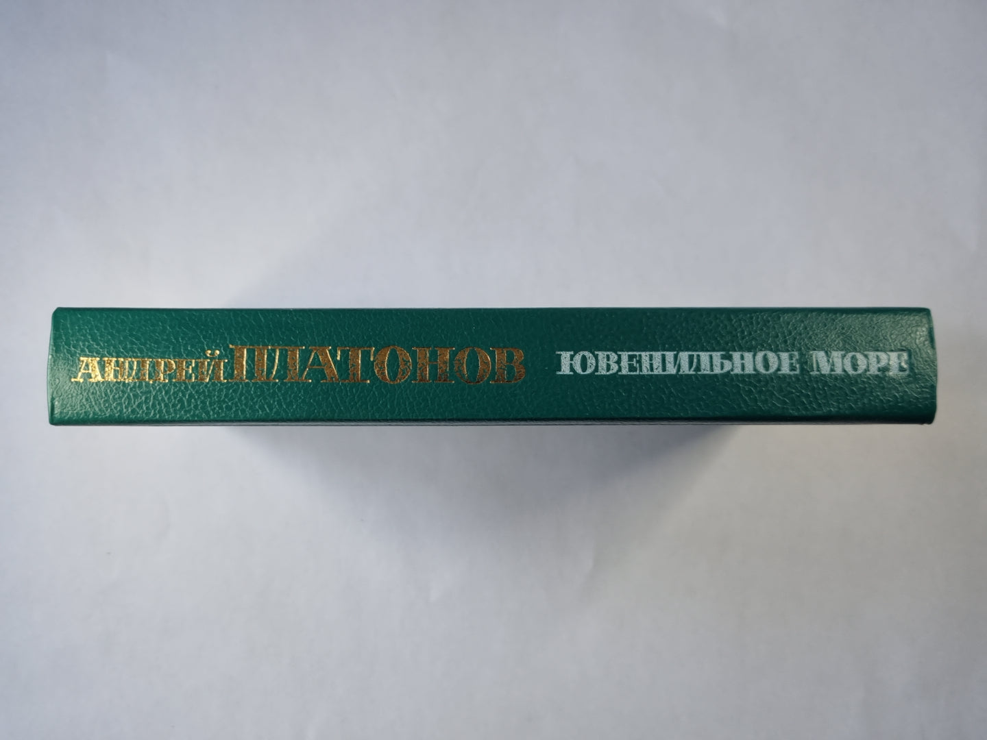 Ювенильное море. Котлован. Чевенгур