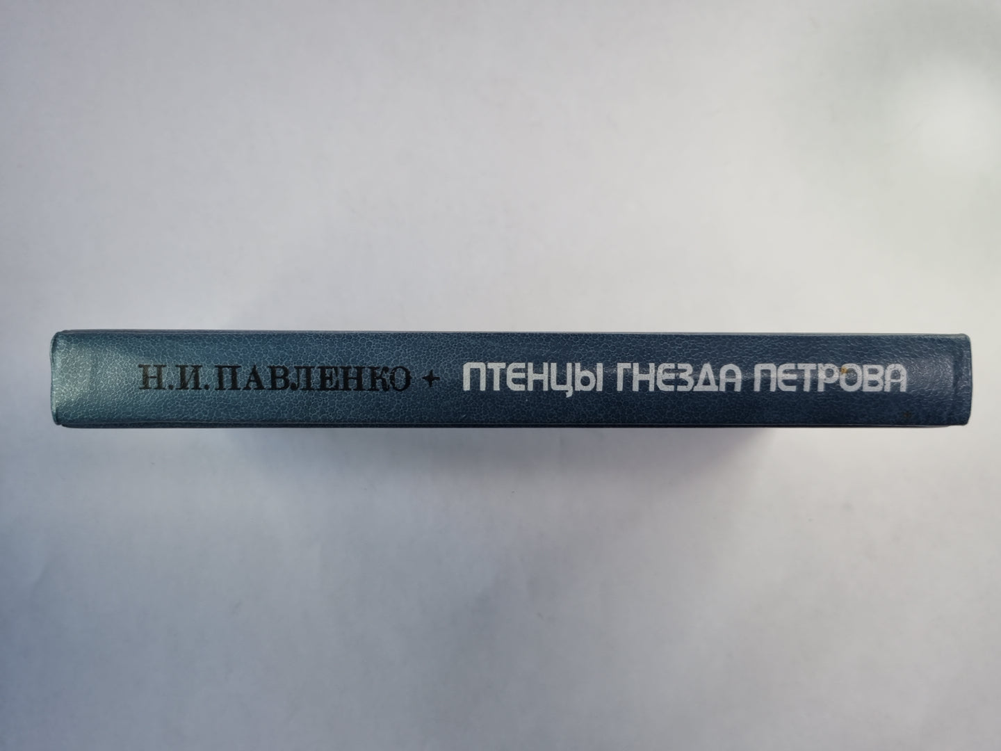 Птенцы гнезда Петрова