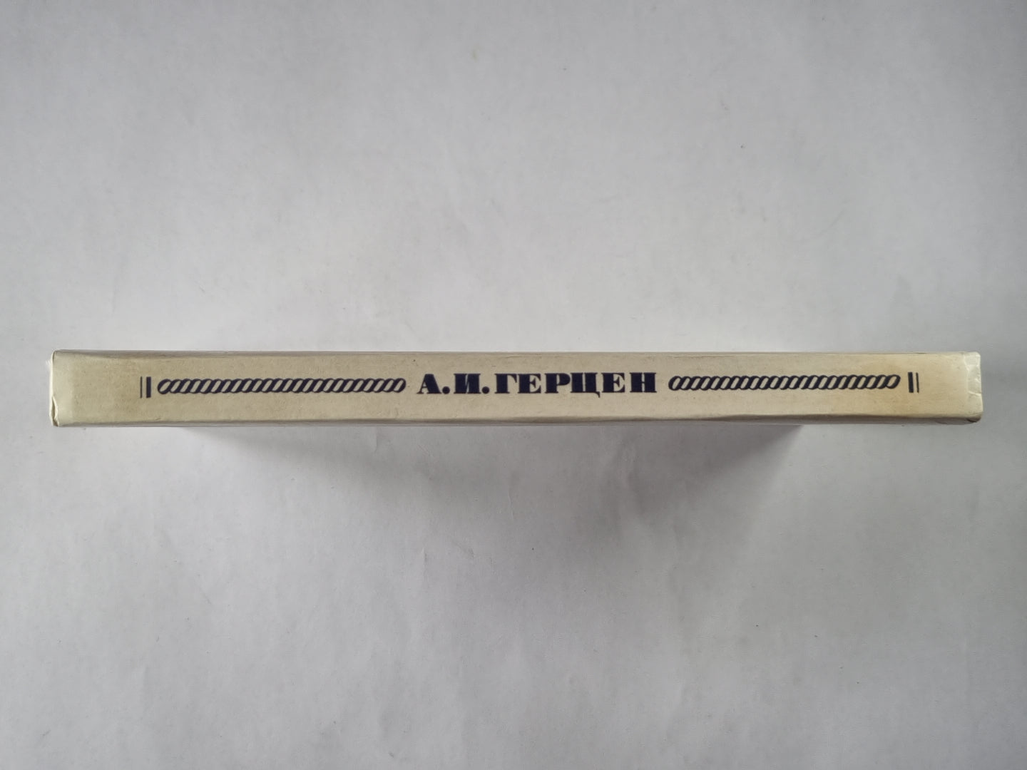 Кто виноват? Сорока-воровка