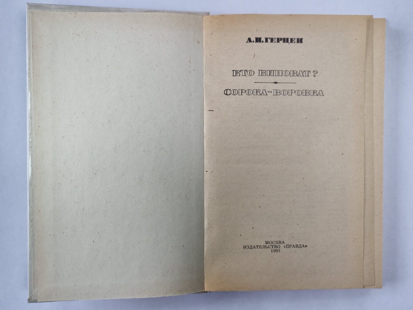 Кто виноват? Сорока-воровка