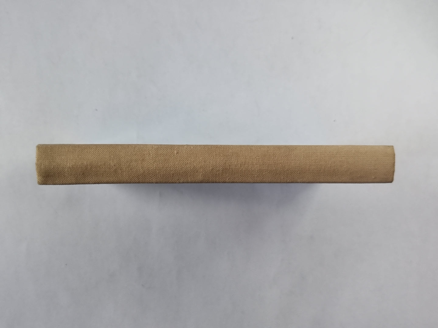 Чудо - кони, чудо - птицы