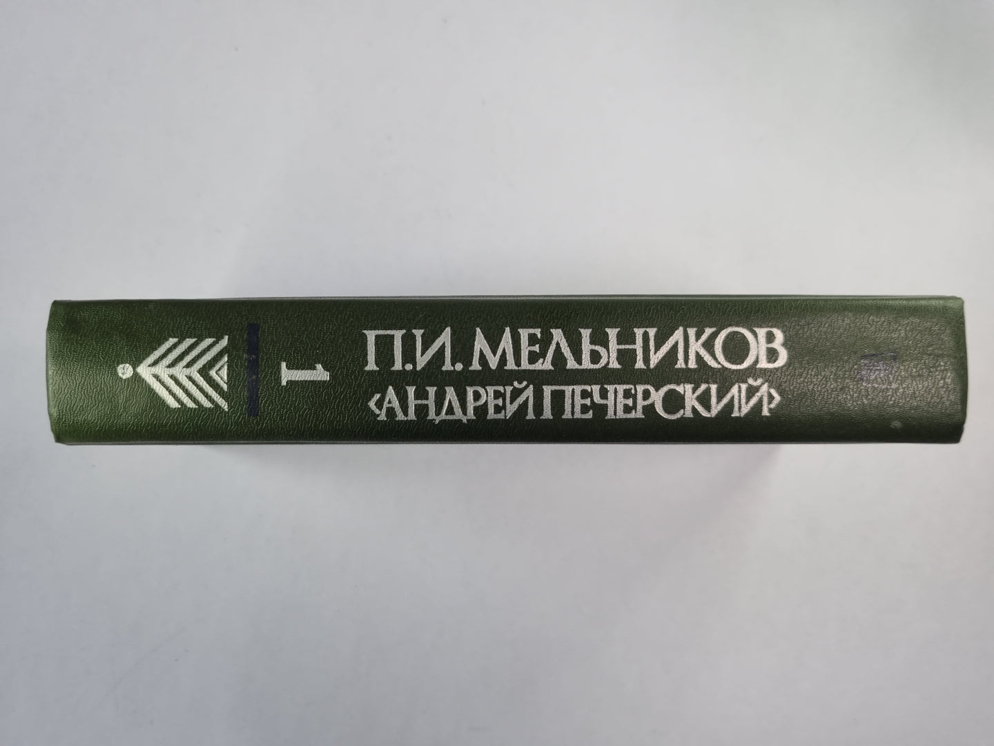 В лесах. Книга 1