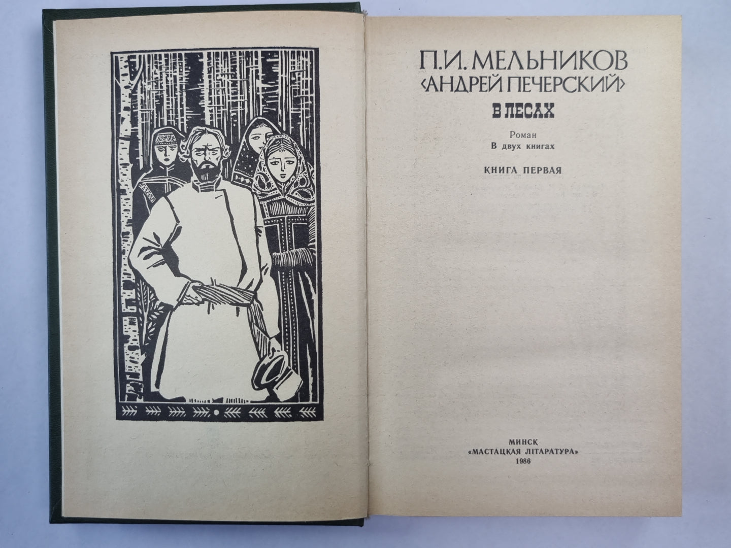 В лесах. Книга 1