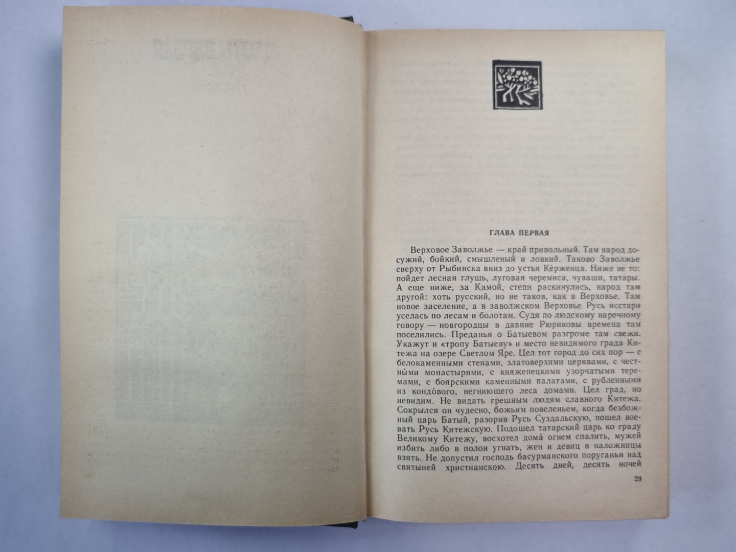 В лесах. Книга 1