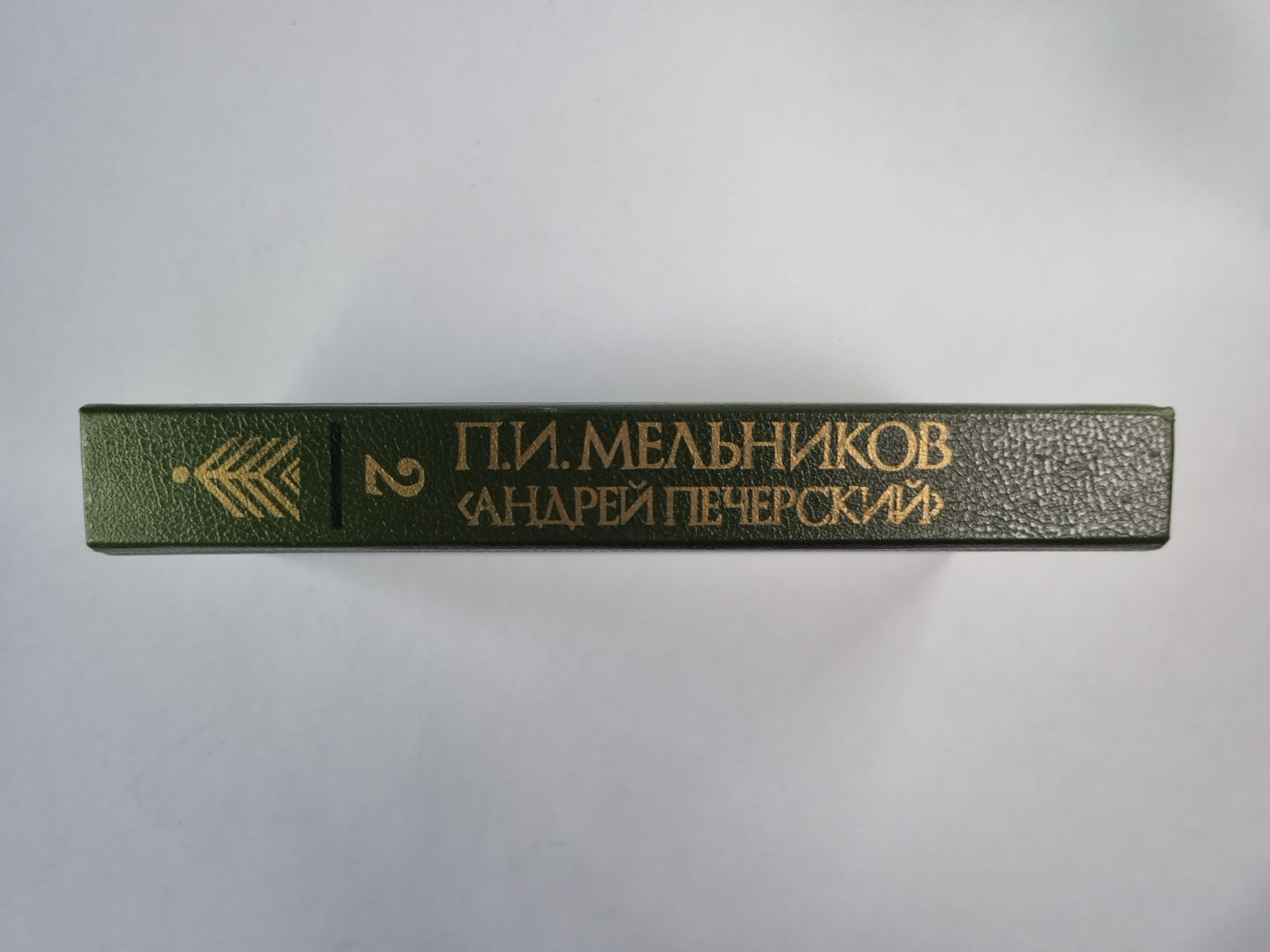 В лесах. Книга 2