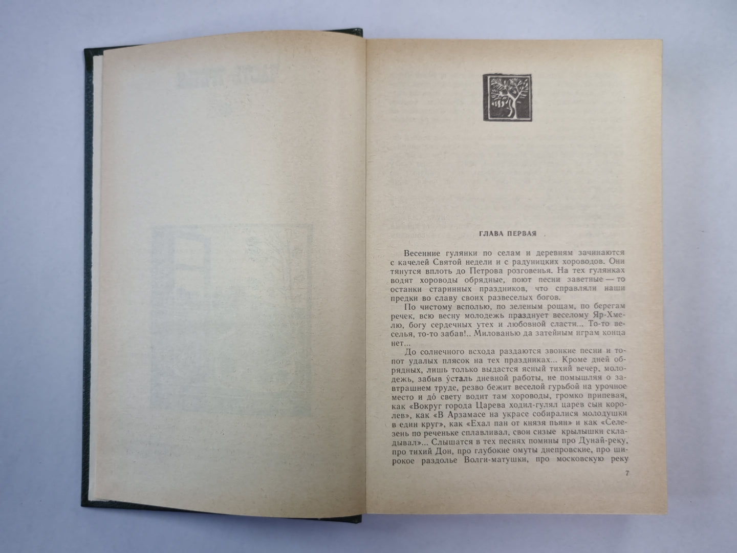 В лесах. Книга 2