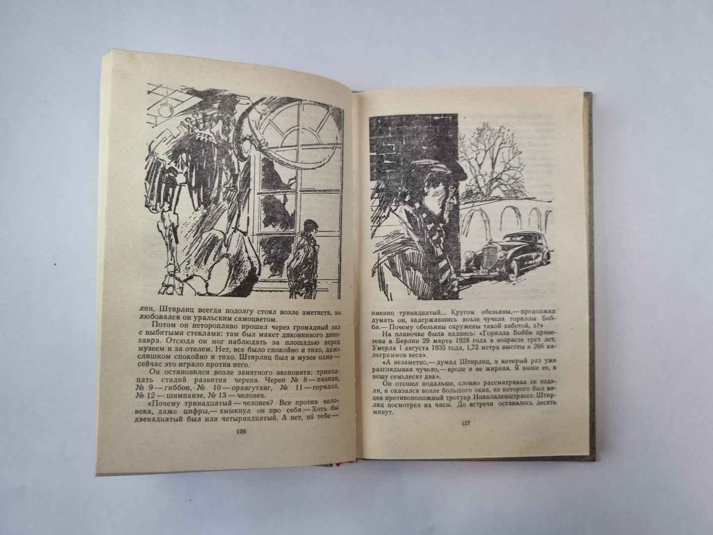 Семнадцать мгновений весны (Библиотека «Дружбы народов»)