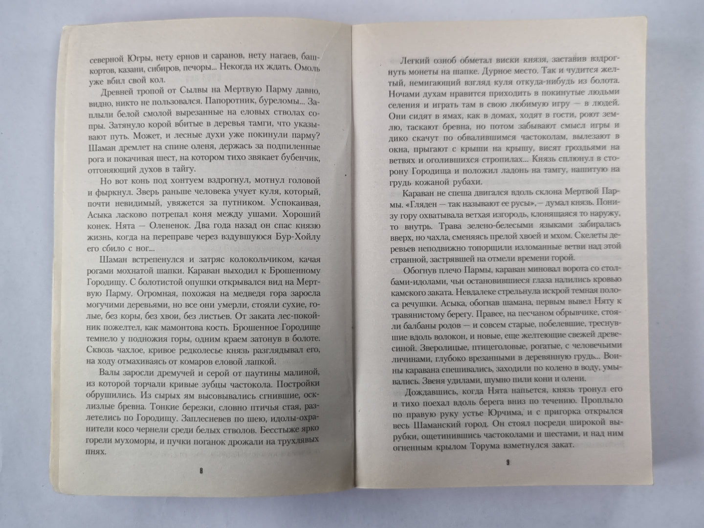 Сердце Пармы, или Чердынь - княгиня гор