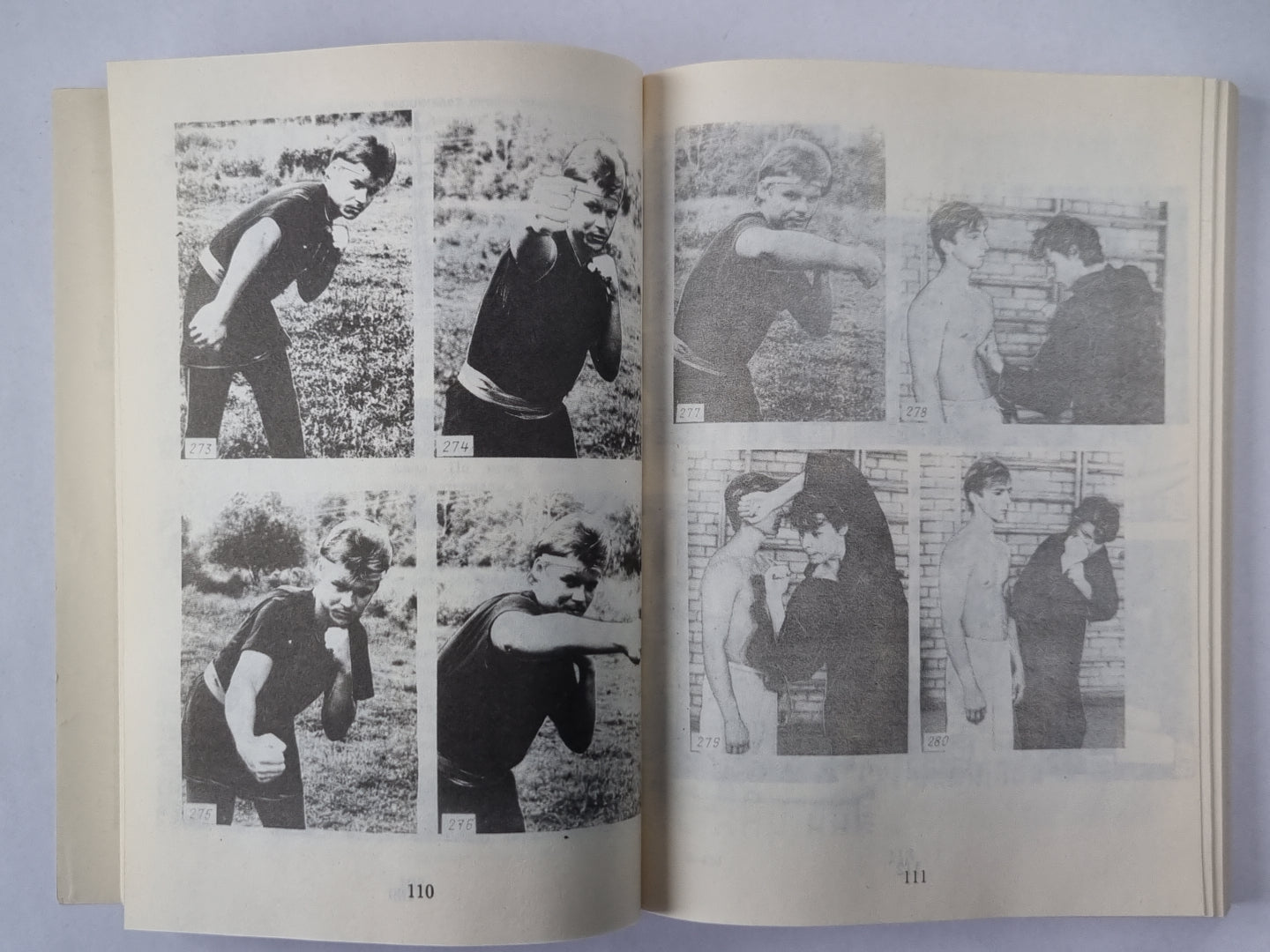 Тайные кланы, язычество и рукопашный бой. Сер. ''''Тайны воинских искусств''''. Книга 8