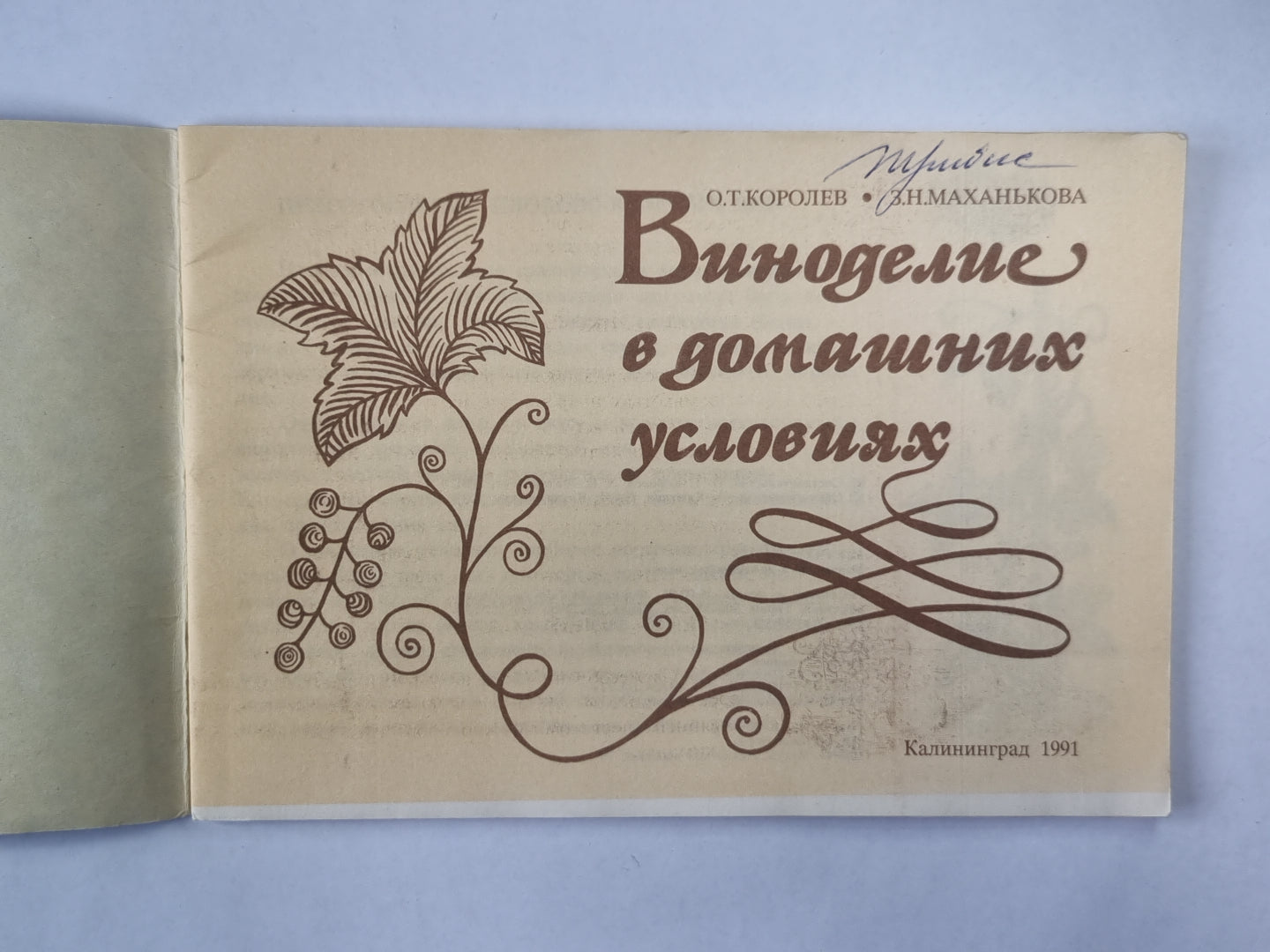 Виноделие в домашних условиях