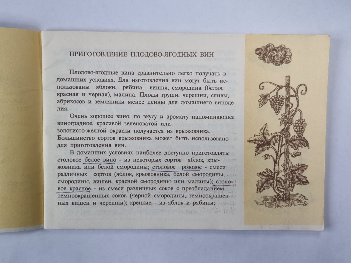 Виноделие в домашних условиях