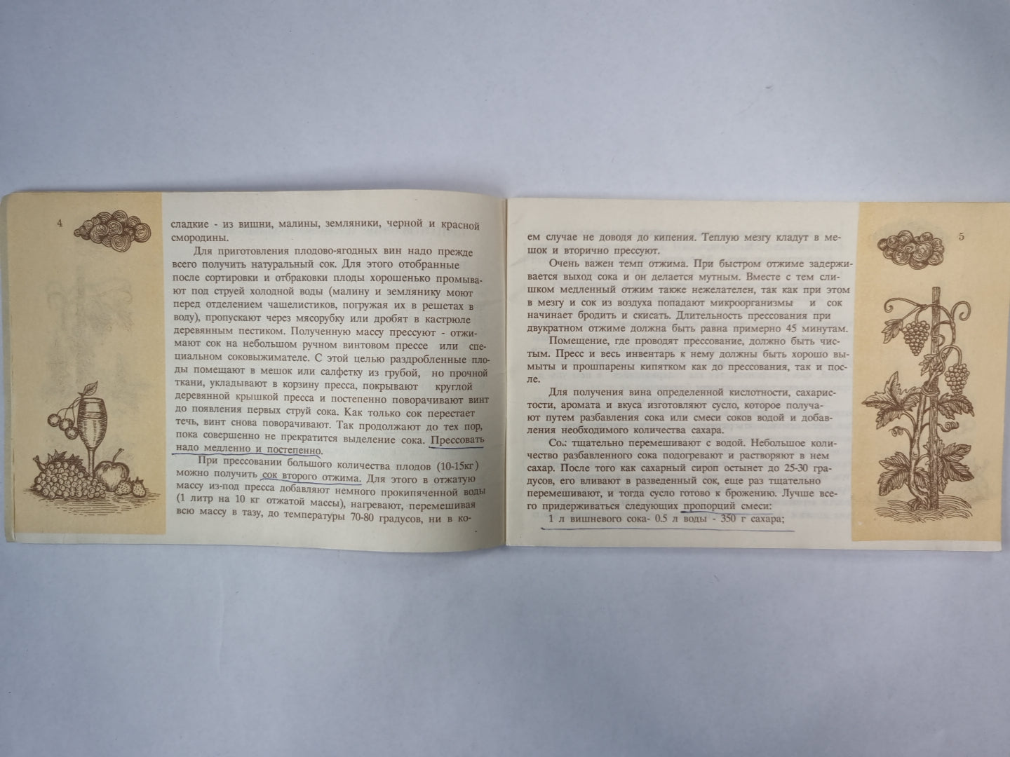 Виноделие в домашних условиях