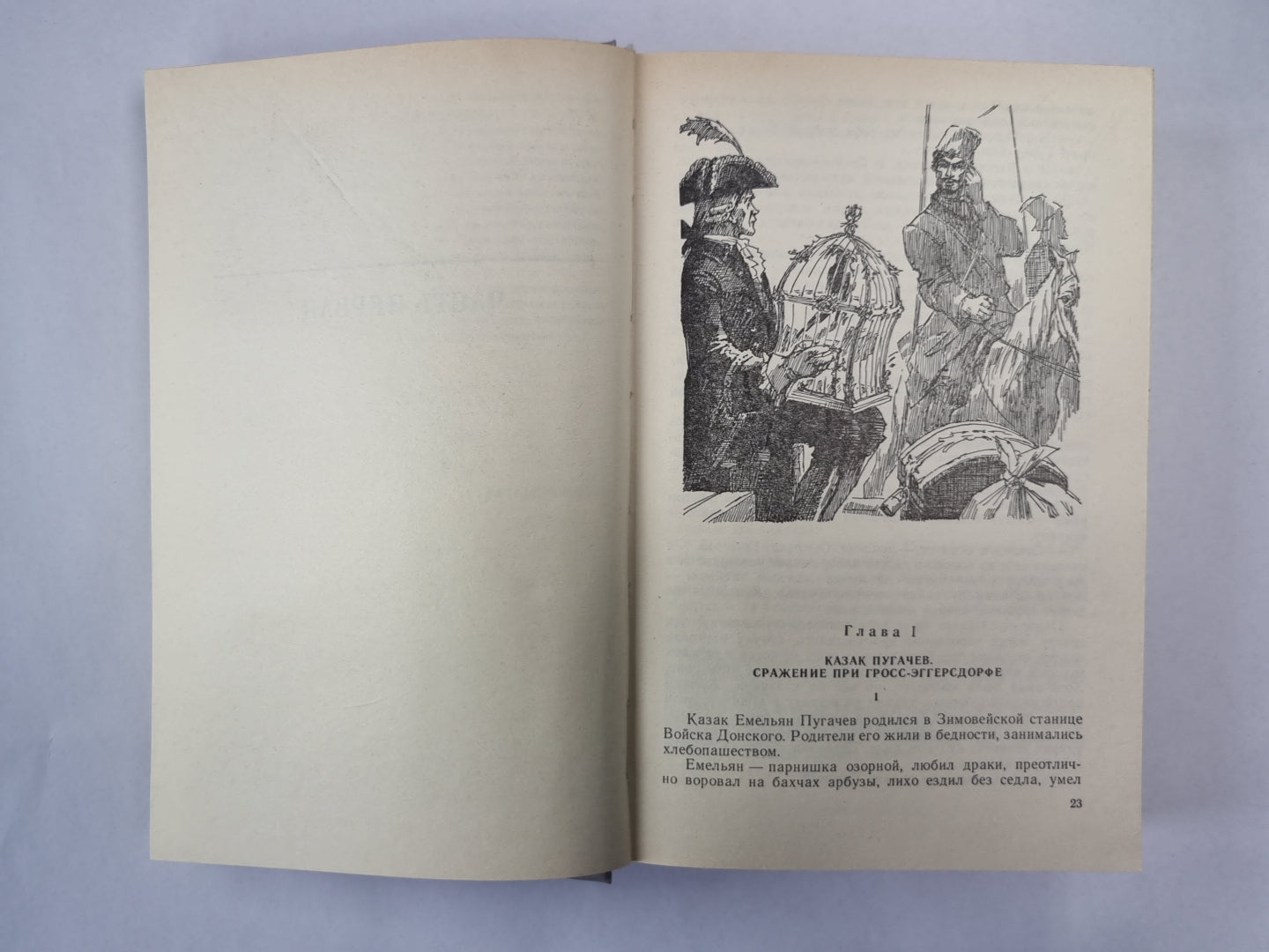 Емельян Пугачев. Книга 1. Историческое повествование