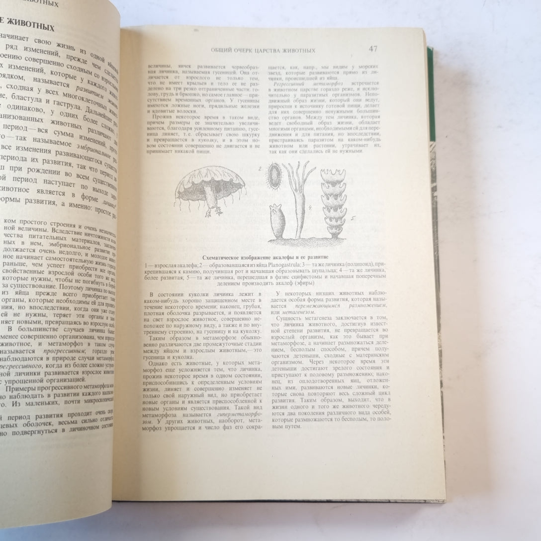 Жизнь животных. Млекопитающие. Том 1