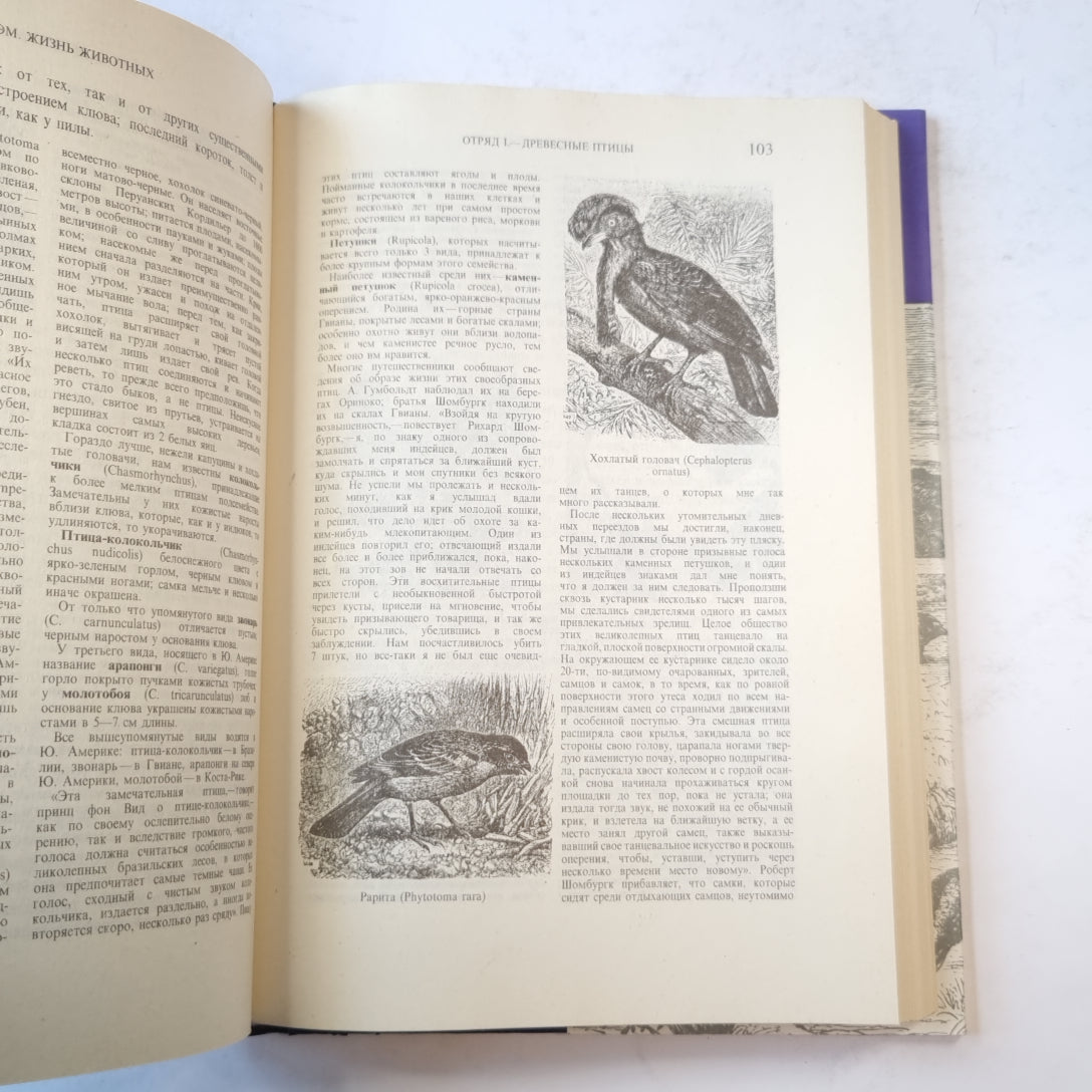 Жизнь животных. Птицы. Том 2