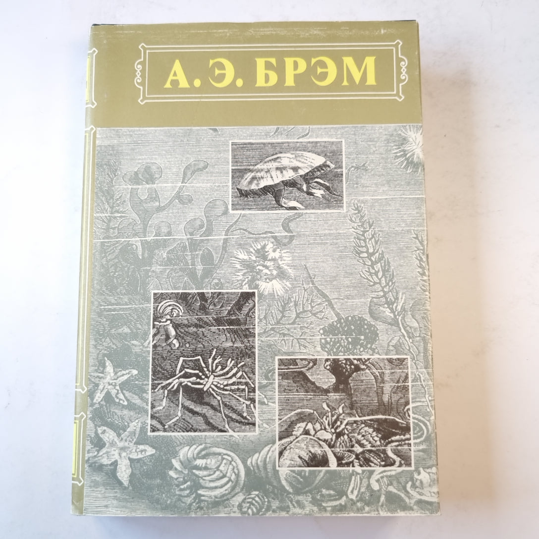 Жизнь животных. Пресмыкающиеся. Земноводные. Рыбы. Беспозвоночные. Том 3