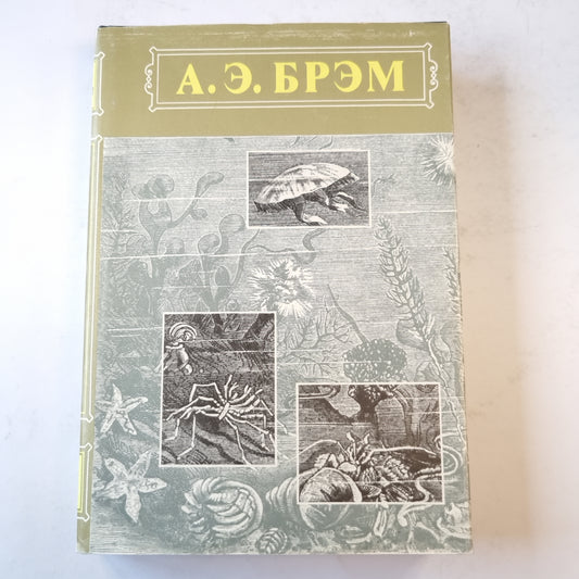 Жизнь животных. Пресмыкающиеся. Земноводные. Рыбы. Беспозвоночные. Том 3